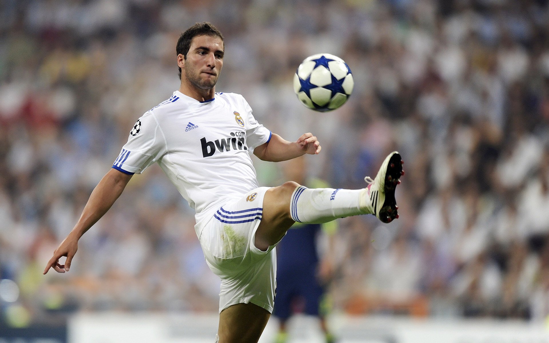 搏击教学视频走进监狱推广正能量体育理念，关于监狱搏击的电影